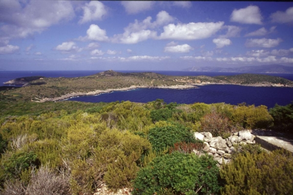 Api a Giannutri, l'intervista al Parco