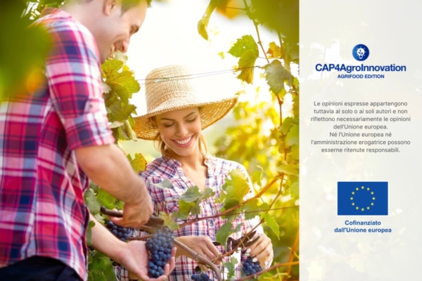 Cosa chiedono i giovani agricoltori all'Ue?