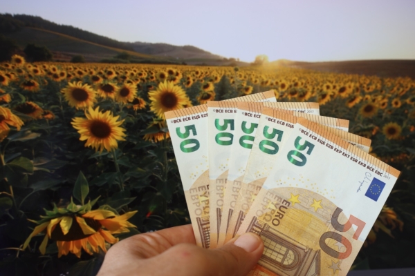 Pac 2025, per i premi accoppiati adempimenti entro il 30 settembre