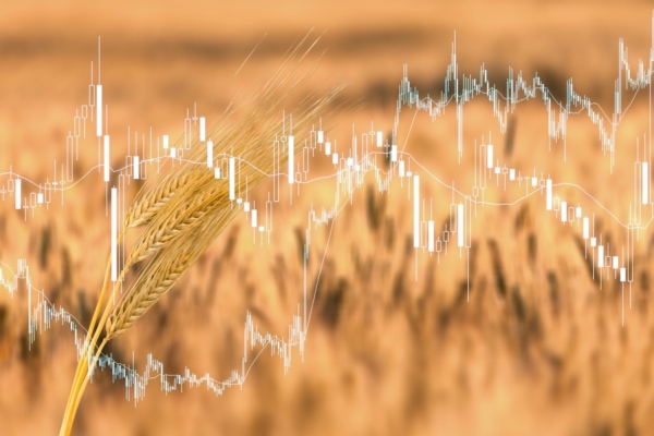 Una sbirciata sui mercati mondiali