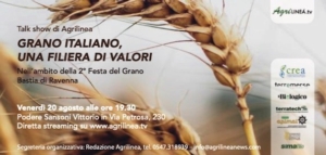 grano-italiano-una-filiera-di-valori-fonte-agrilinea
