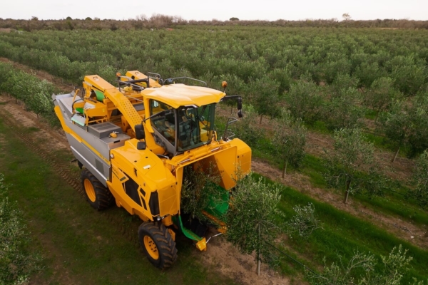 Nuova Gregoire GX10.6, raccolta senza pensieri in olivicoltura e corilicoltura