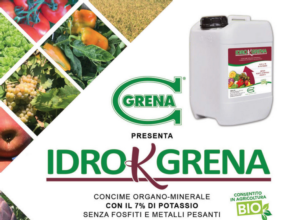 Potassio e poliammine: la coppia vincente di Idro K Grena - Grena - Fertilgest News