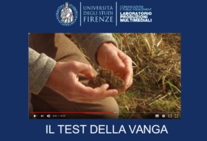 Fertilità del suolo, un tutorial per valutarla - le news di Fertilgest sui fertilizzanti