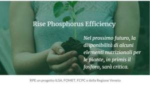 Fertilizzanti con fosforo ad alta efficienza - le news di Fertilgest sui fertilizzanti