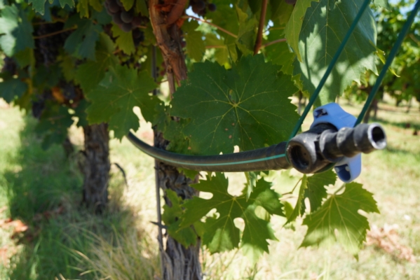 Nuove tecnologie per il supporto della viticoltura