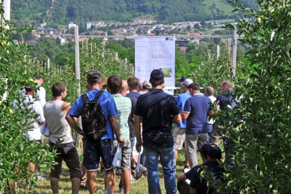 EVENTI - Fem, incontri tecnici per gli agricoltori - Plantgest news sulle varietà di piante