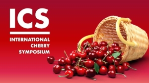 International Cherry Symposium, sostenibilità a tutto tondo - Plantgest news sulle varietà di piante