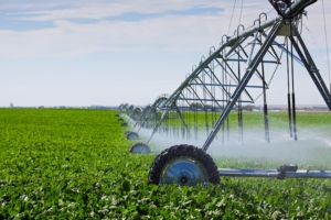 Irrigazione in pieno campo, ora a rateo variabile e automatizzata