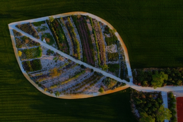 Irritec premia il Best Agrishot: l'irrigazione racconta la bellezza del territorio