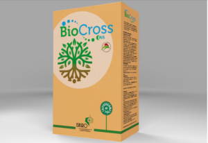 Biocross Eva: la coccinella ha detto sì - le news di Fertilgest sui fertilizzanti