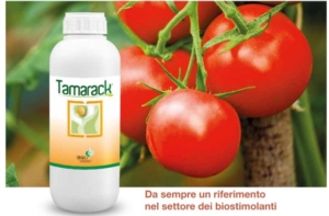 Tamarack by Isagro: aiuta, migliora, aumenta - le news di Fertilgest sui fertilizzanti