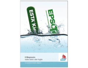 Il magnesio: dalle radici alle foglie - le news di Fertilgest sui fertilizzanti