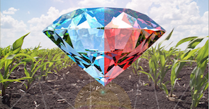 kaltor-mais-diamante-brochure-erbicida-post-emergenza-aprile-2021-rotam