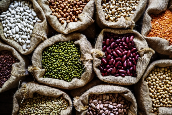 Legubiocer, per una maggiore produttività in biologico su cereali e leguminose - Plantgest news sulle varietà di piante