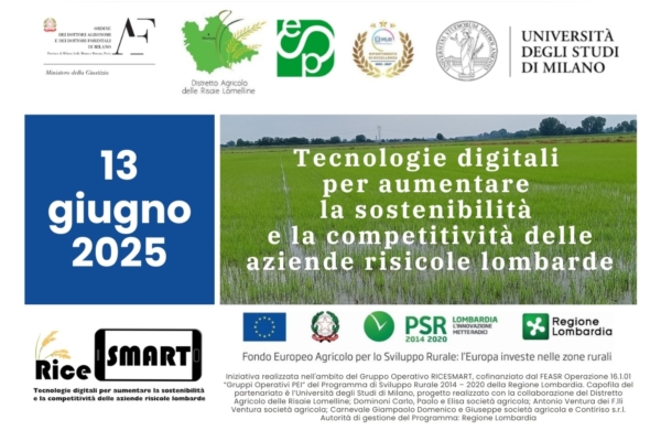 Risicoltura e digitale, appuntamento finale con RiceSMART