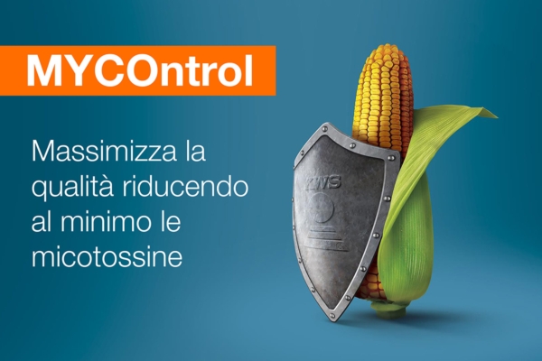 Ibridi MYCOntrol Kws: la nuova frontiera del mais tollerante alle fusariotossine - Plantgest news sulle varietà di piante