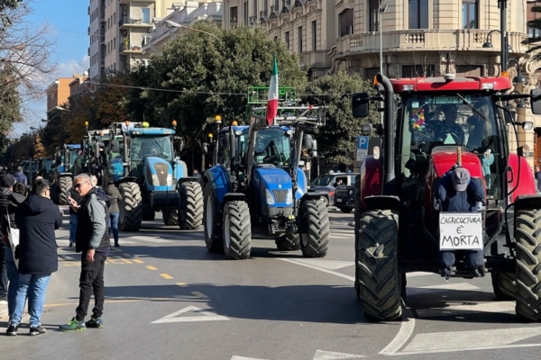 Protesta degli agricoltori, i movimenti contro la Pac sono due