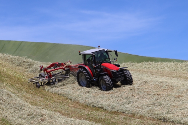 In campo con Massey Ferguson MF 5M.125, prestante e sicuro nella fienagione