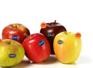 Melinda punta sui mercati esteri - Plantgest news sulle varietà di piante