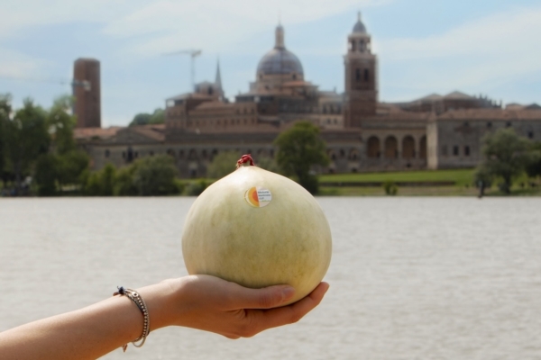 Melone Mantovano Igp, tutto pronto per il primo Simposio
