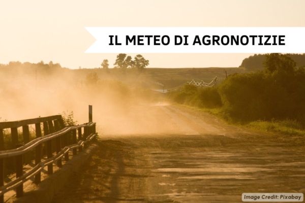 Qualche giorno pi&ugrave; "fresco", poi nuova fase rovente. Punte oltre 40 gradi