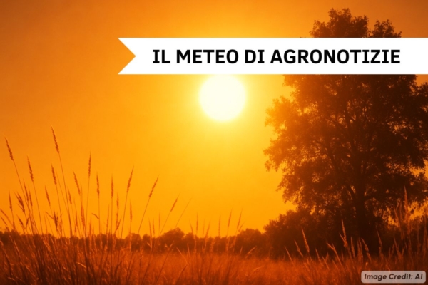 Caldo, al via l'ondata pi&ugrave; intensa dell'estate 2025