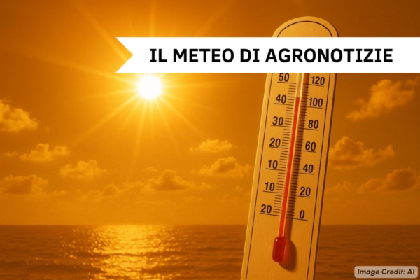 Caldo e afa in aumento, l'anticiclone colpisce l'Europa