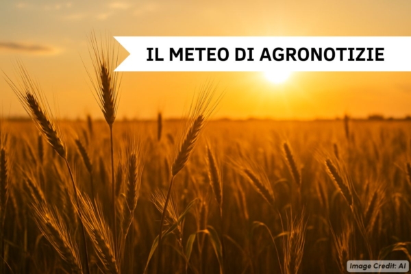 Fase fresca al termine: ultimi temporali al Sud, caldo in aumento al Nord