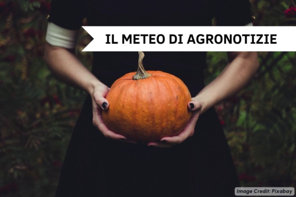 Nuove piogge in arrivo: ombrello anche per Ognissanti