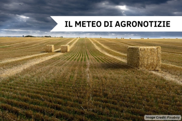 Estate settembrina: il meteo si ribalta, arriva il grande caldo