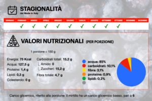 mirtillo-infografica-stagionalita-valori-nutrizionali-750x500
