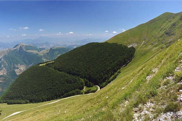 Marche, bando da 14 milioni per le zone montane