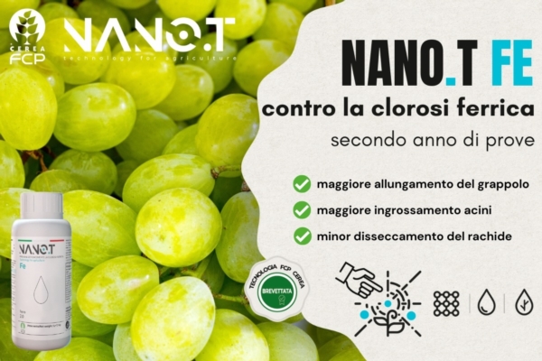 Vite: Nano.T<sup>®</sup> Fe è il nuovo prodotto per il controllo della clorosi ferrica - FCP Cerea S.C. - Fertilgest News