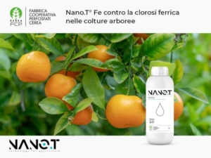 Nano.T<sup>®</sup> per combattere la clorosi ferrica nelle colture arboree - FCP Cerea S.C. - Fertilgest News