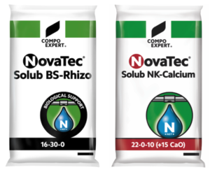 Fertirrigazione: più qualità e quantità delle produzioni con NovaTec<sup>®</sup> Solub - Compo Expert Italia - Fertilgest News