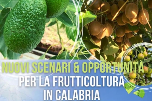 EVENTO - Frutticoltura: nuovi scenari & opportunità in Calabria - Plantgest news sulle varietà di piante