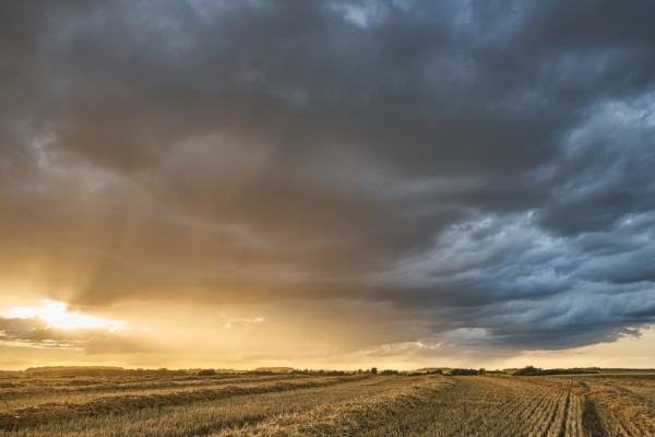 Gestione del rischio in agricoltura, tutto pronto per il Convegno