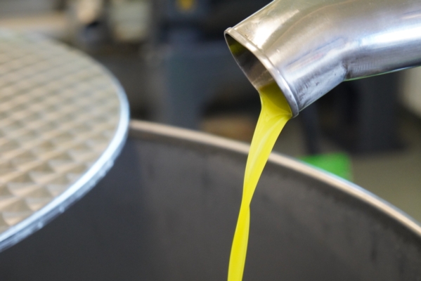 Pnrr, il bando per l'ammodernamento dei frantoi verso lo sblocco di 100 milioni