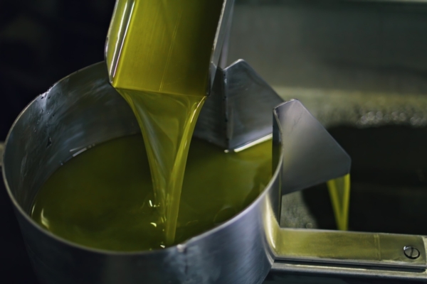 Evolio Expo, a gennaio la seconda edizione