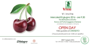 Ciliegio: open day con visita guidata al ceraseto - Plantgest news sulle varietà di piante