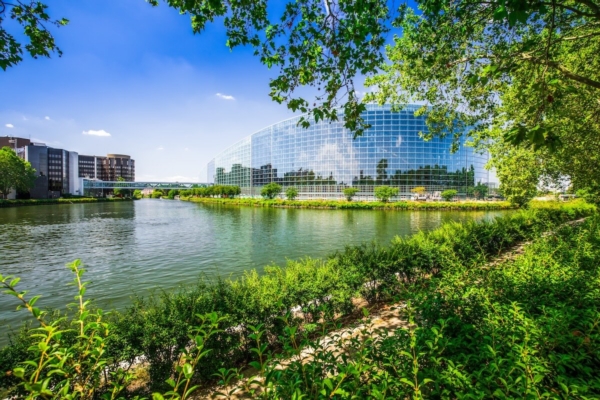 Budget della Pac post 2027, dibattito all'Europarlamento