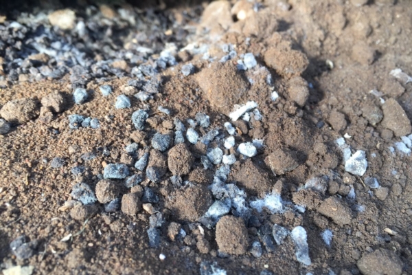 Microrganismi utili per l'agricoltura: perch&eacute; scegliere i consorzi giusti fa la differenza - le news di Fertilgest sui fertilizzanti