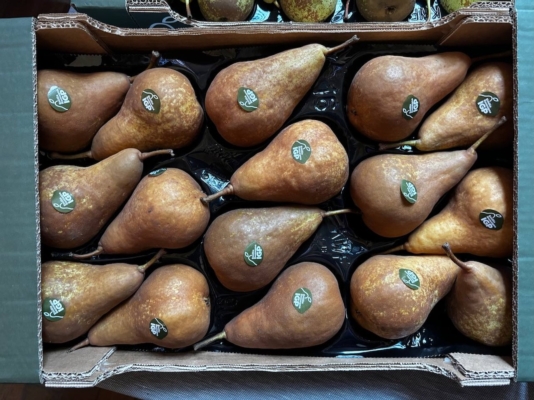 Pera Igp: consumi, crisi e strategie di rilancio