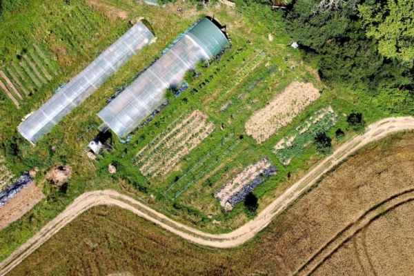 Agroecologia: cos'è e come si fa, nella pratica | foto