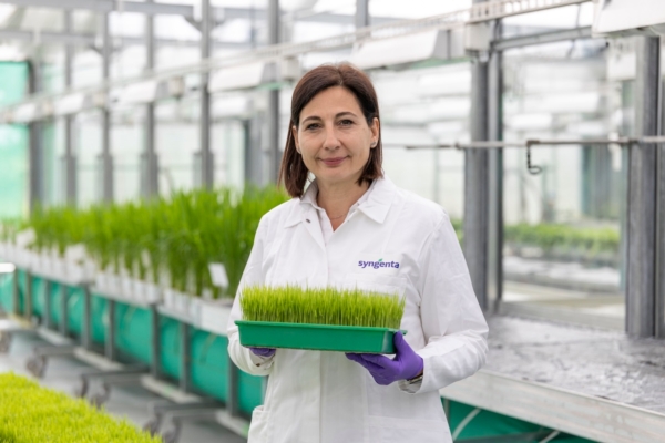 Syngenta: chimica italiana ai vertici della ricerca mondiale