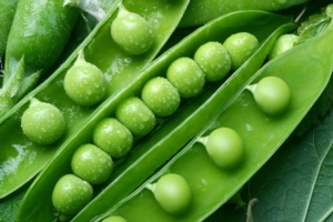 Pisello, leguminosa al top - Plantgest news sulle varietà di piante