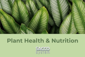 Sacco System si specializza (anche) nel settore Plant health and nutrition - le news di Fertilgest sui fertilizzanti