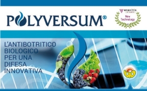 È arrivato Polyversum, l’antibotritico biologico per una difesa innovativa - Plantgest news sulle varietà di piante