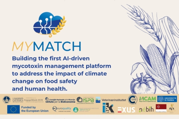 Qual è l'impatto del cambiamento climatico sulle micotossine?